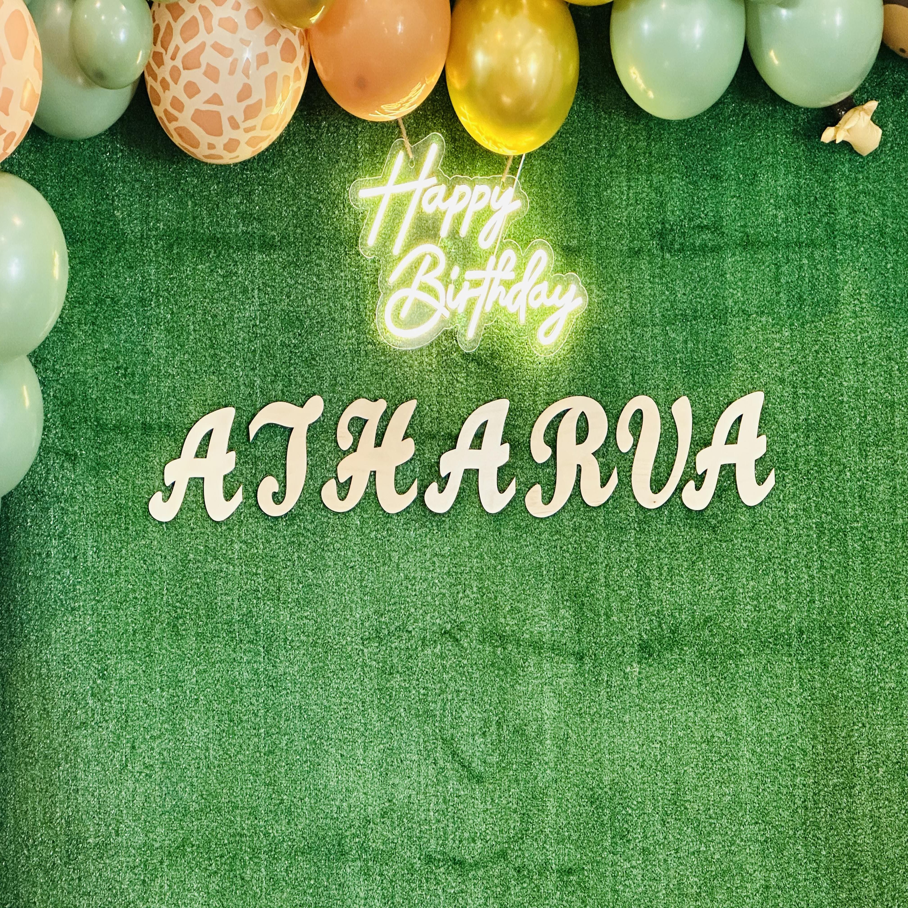 BirthDay Party